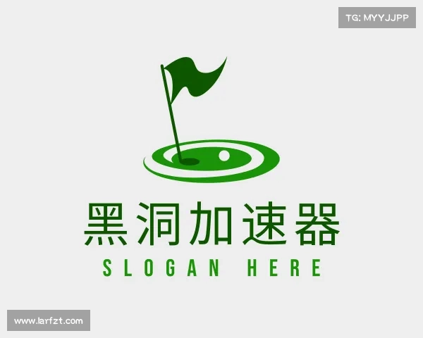 关于黑洞加速器